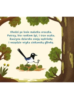 Rok w lesie. Zasypianka