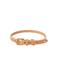 Skórzana obroża dla psa Robin Dog Collar