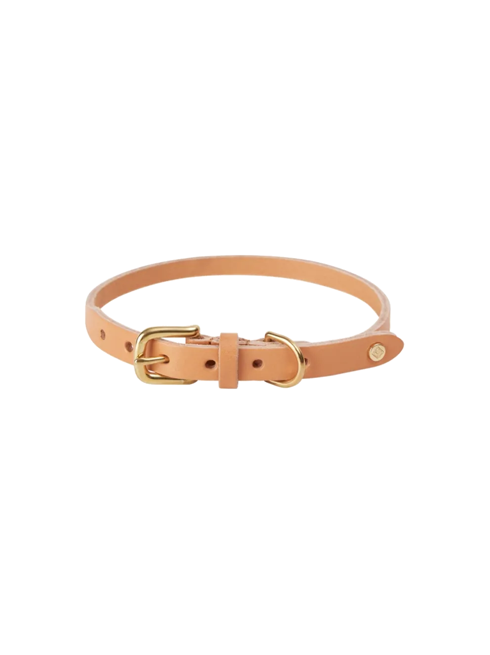 Skórzana obroża dla psa Robin Dog Collar