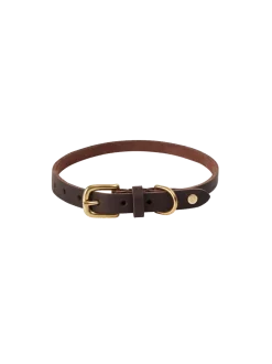 Skórzana obroża dla psa Robin Dog Collar