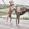 Skórzana smycz dla psa z regulacją Robin Dog Leash