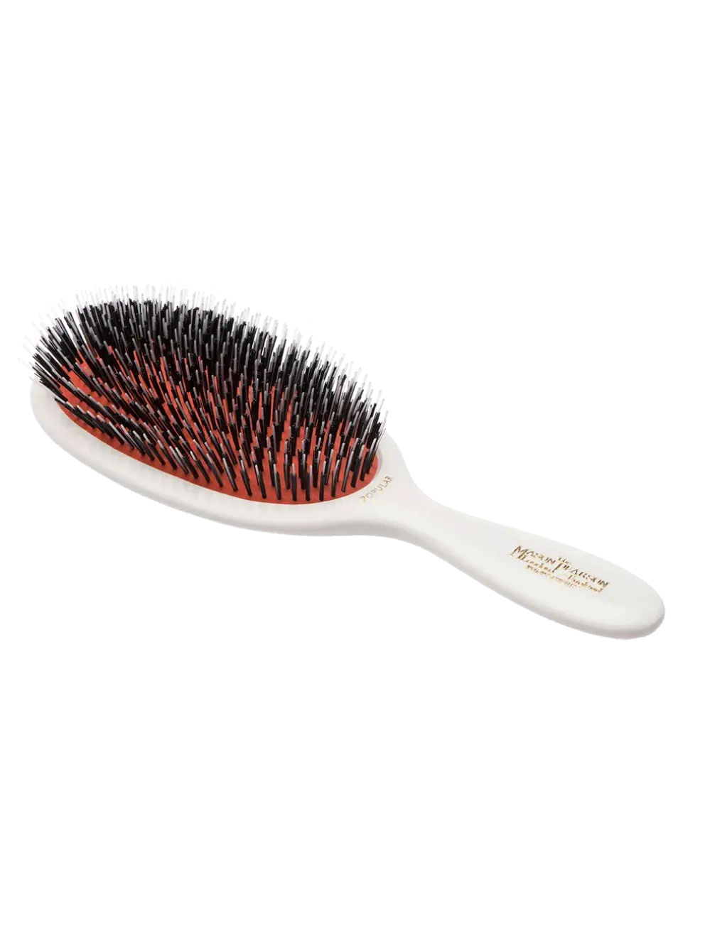 Szczotka do włosów Large Popular Bristle & Nylon
