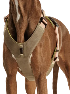 Szelki dla psa Y-2 Harness Aktiv