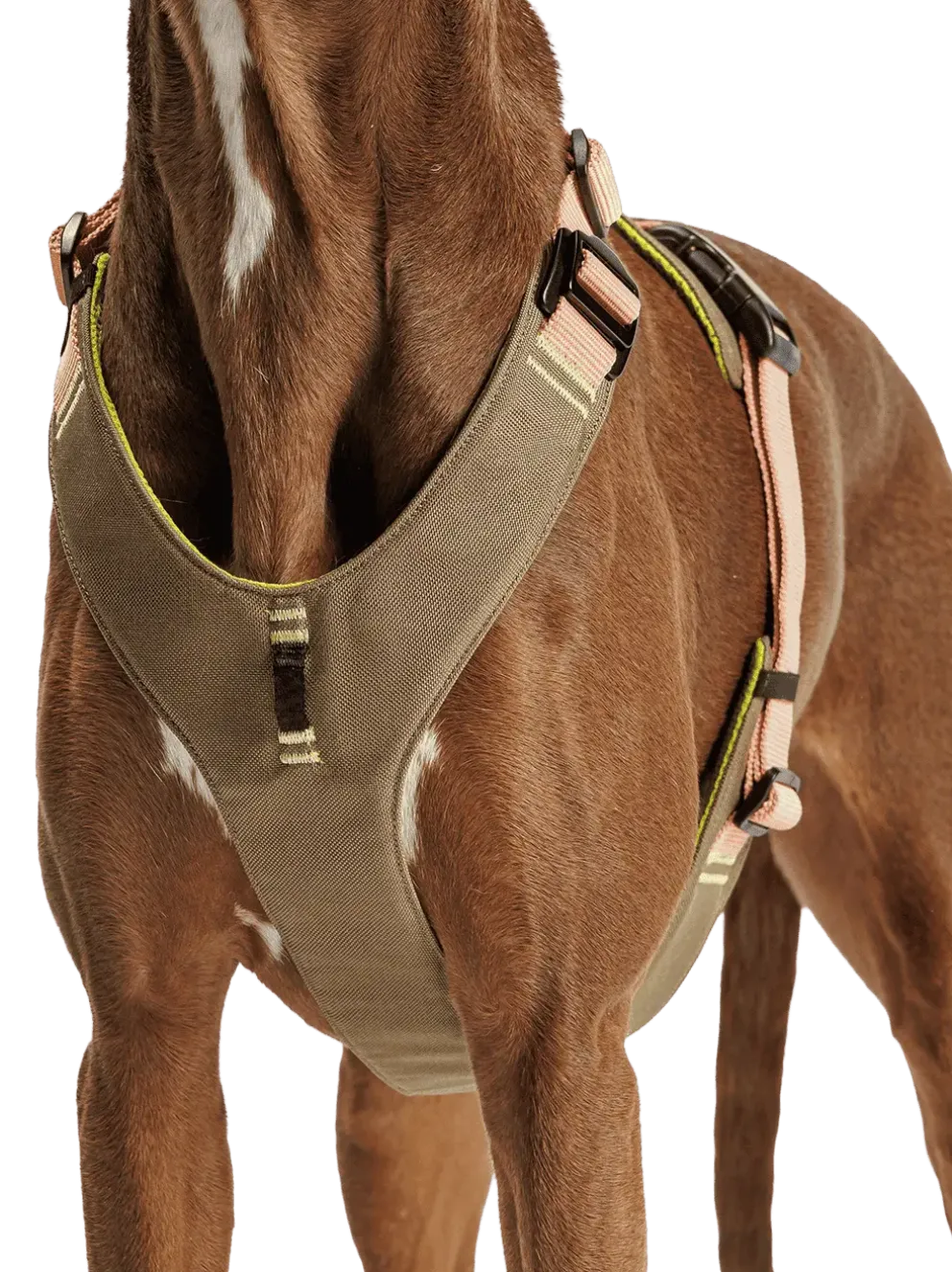 Szelki dla psa Y-2 Harness Aktiv