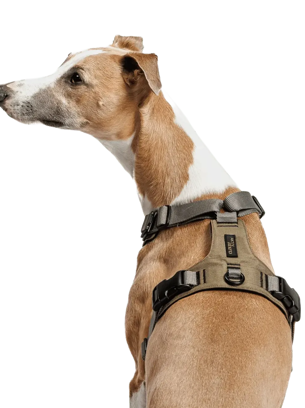 Szelki dla psa Y-2 Harness Aktiv
