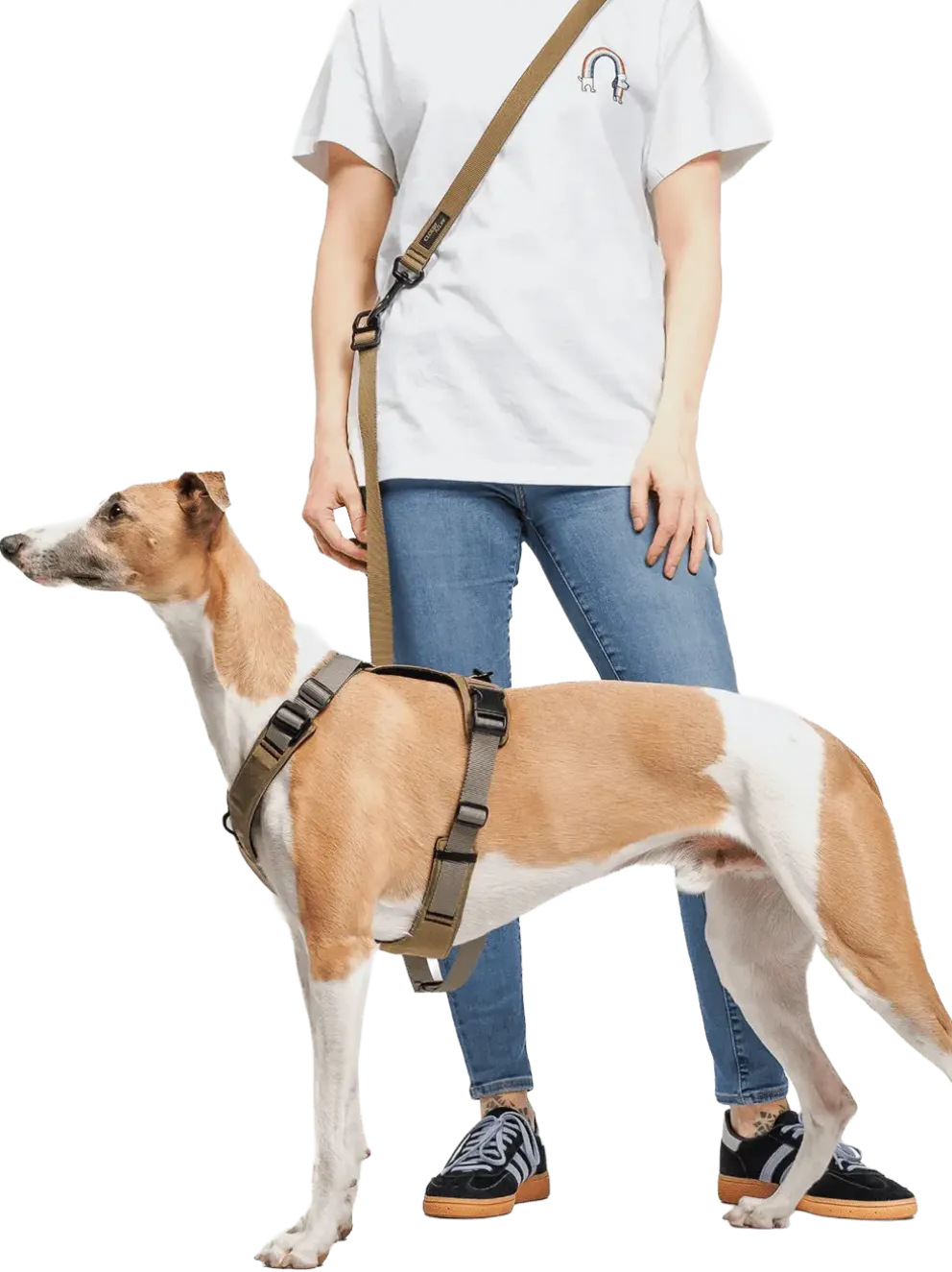 Szelki dla psa Y-2 Harness Aktiv