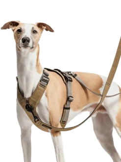 Szelki dla psa Y-2 Harness Aktiv