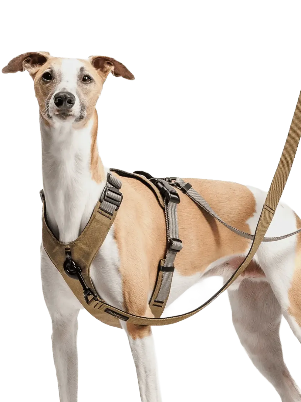 Szelki dla psa Y-2 Harness Aktiv