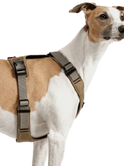 Szelki dla psa Y-2 Harness Aktiv