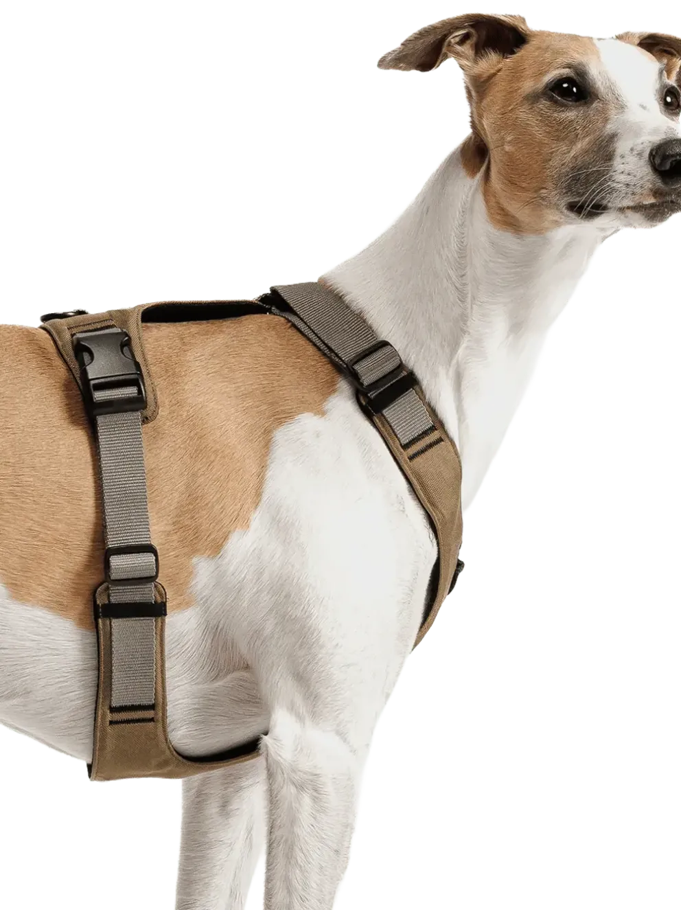 Szelki dla psa Y-2 Harness Aktiv