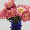 Szklany wazon Pomponette Vase