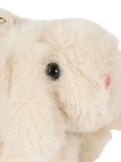 Teddy Pencil Case
