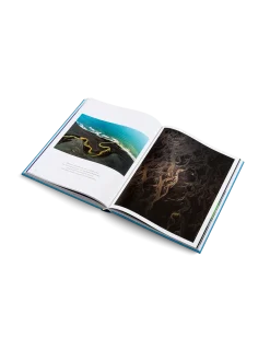 The Oceans