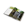 THE UNESCO GLOBAL GEOPARKS