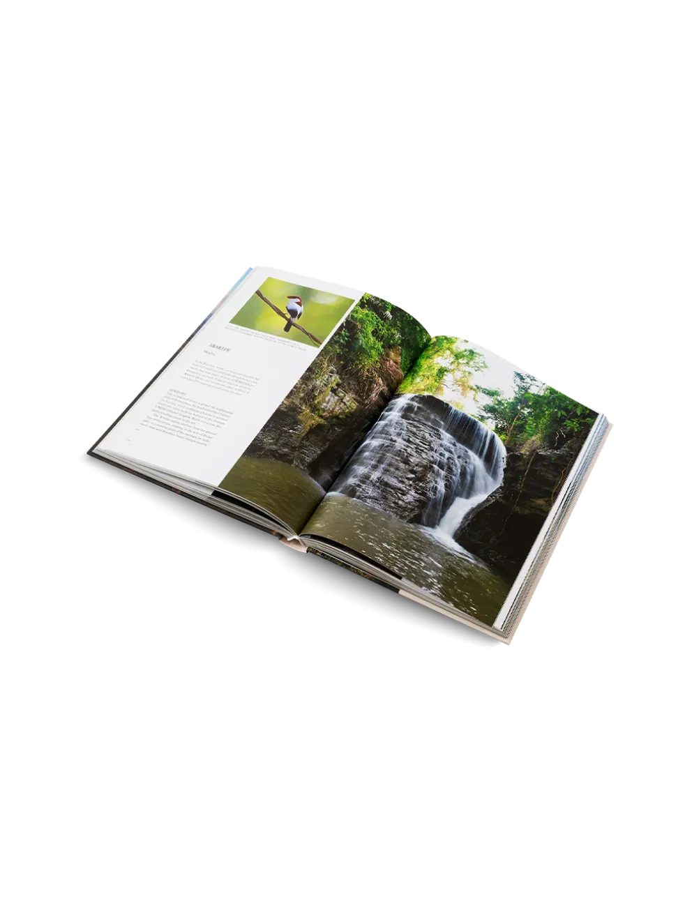 THE UNESCO GLOBAL GEOPARKS
