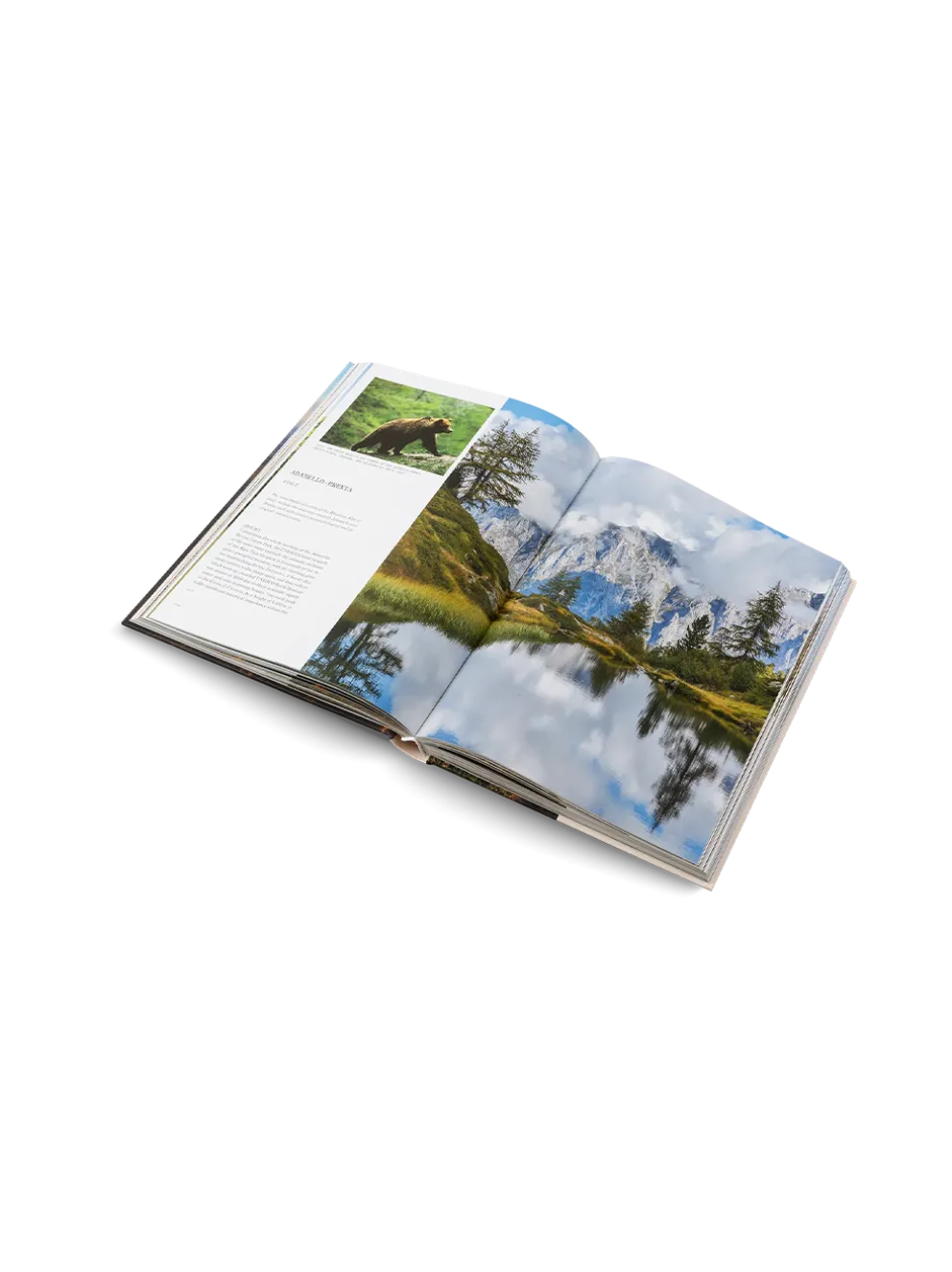 THE UNESCO GLOBAL GEOPARKS