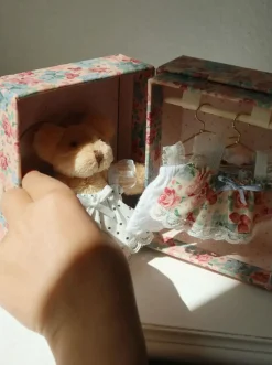 Tiny Teddy Dress Up