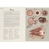 W Muzeum. Anatomicum