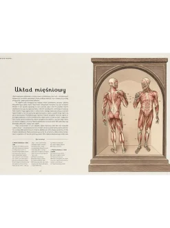 W Muzeum. Anatomicum