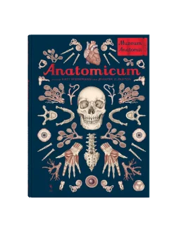 W Muzeum. Anatomicum