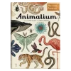 W Muzeum. Animalium