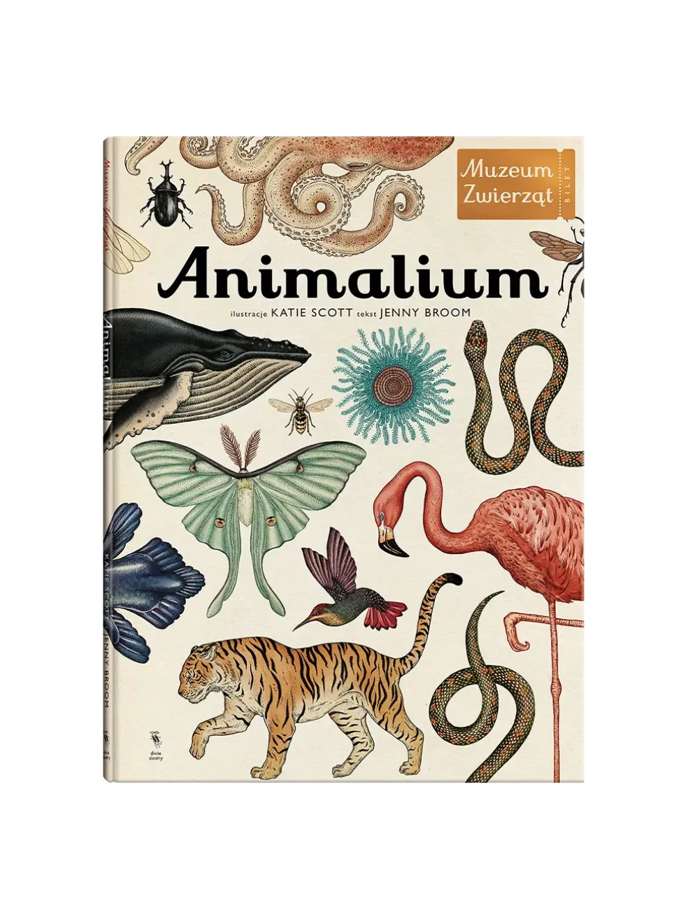 W Muzeum. Animalium
