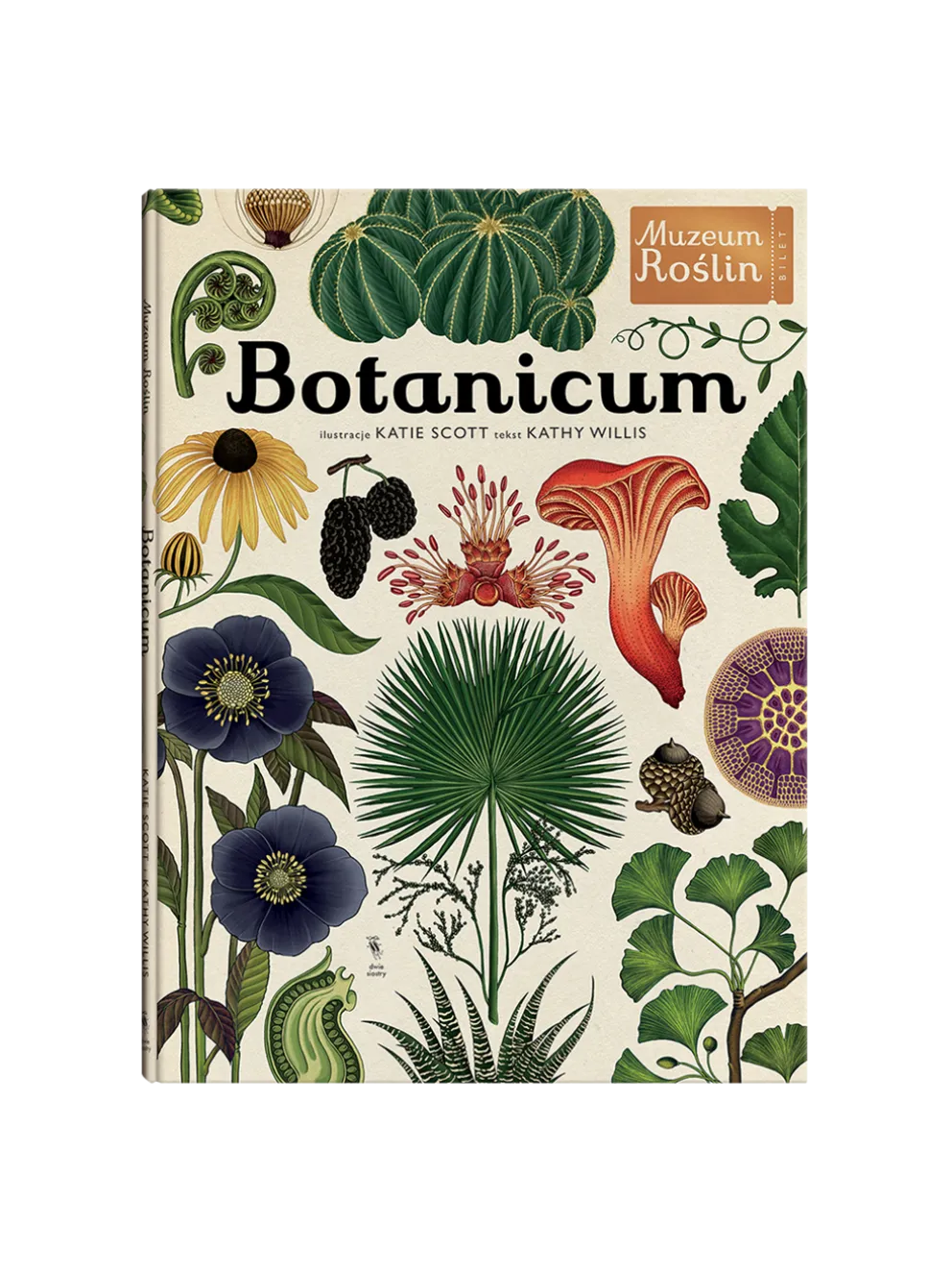 W Muzeum. Botanicum
