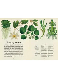 W Muzeum. Botanicum