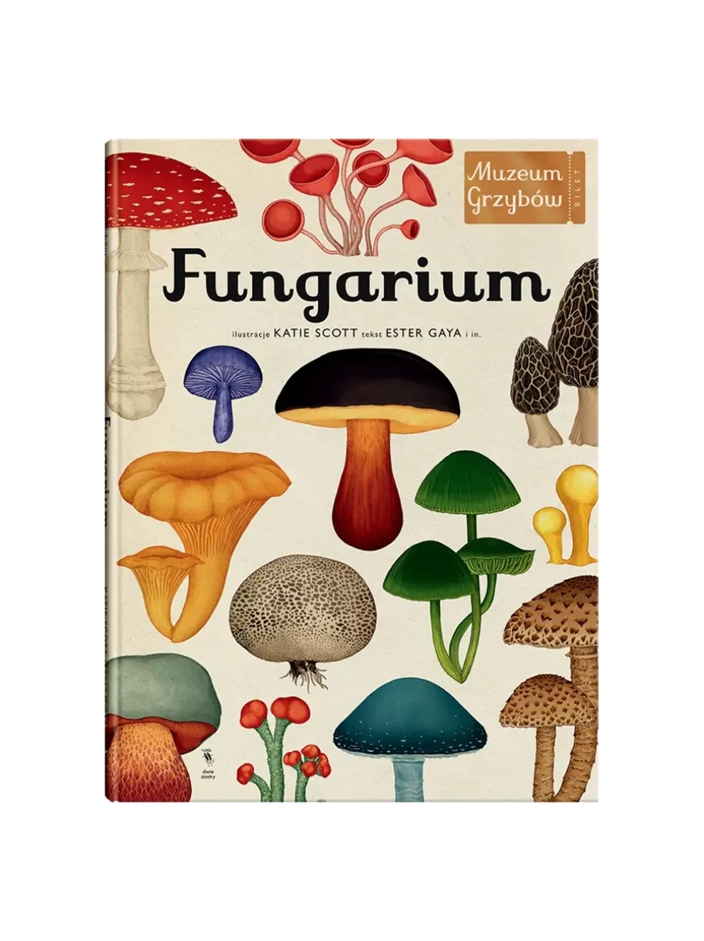 W Muzeum. Fungarium