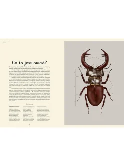 W Muzeum. Insektarium
