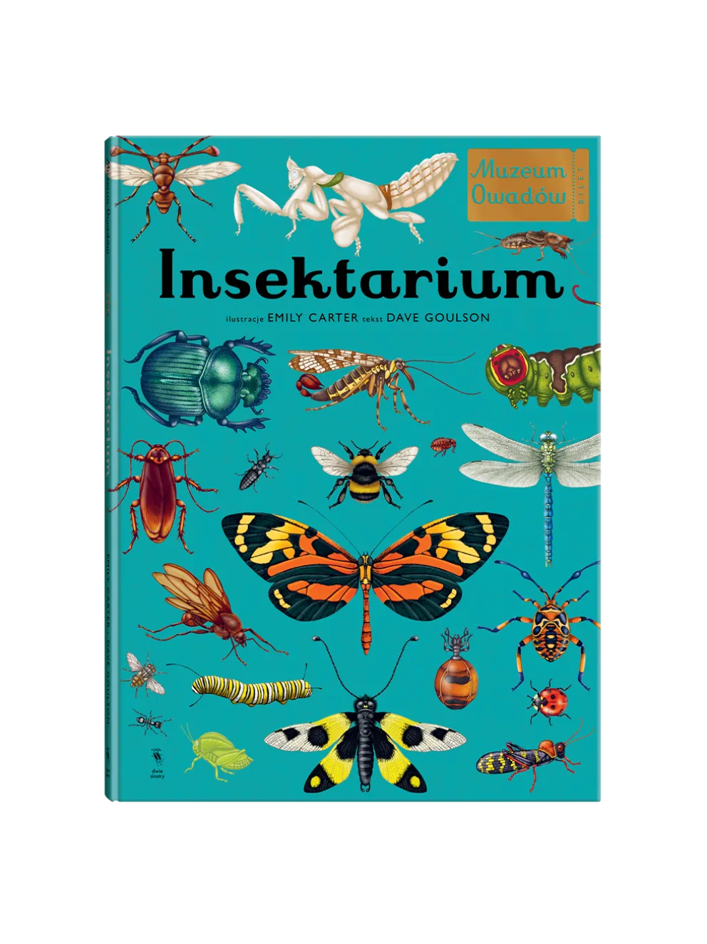 W Muzeum. Insektarium