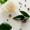 Woda perfumowana Cassis