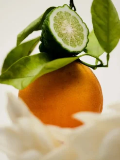 Woda perfumowana No. 12