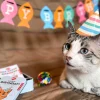 Zestaw dla kota Kobe Cat Birthday Kit