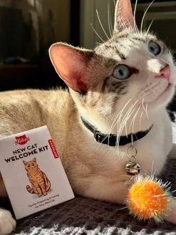 Zestaw dla kota Kobe Cat Welcome Kit