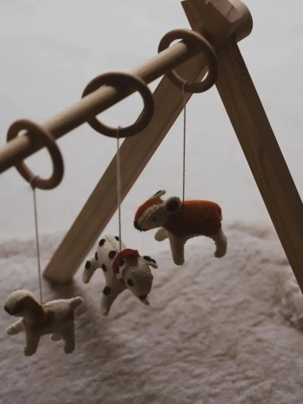 Zestaw zawieszek Activity Toy Set